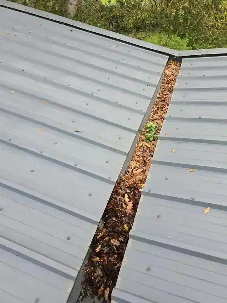 Manual gutter clearing using ladder access